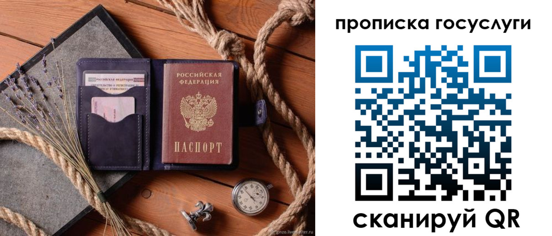 прописка поиск в Мурманской области